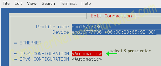automatic ip dhcp option
